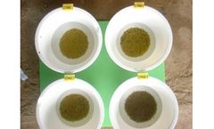 FarmAqua - Robust Plastic Bowls - 21 cm, 2.5 Liter