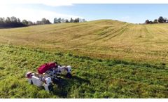 First test of grass cutting - Video