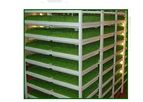 Eleusis - Sub-Irrigation in Trays