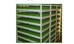 Eleusis - Sub-Irrigation in Trays