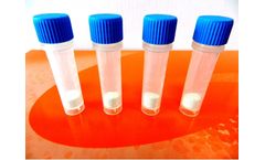 Geneaid - Model Type B (Yeast) - Bead Beating Tube