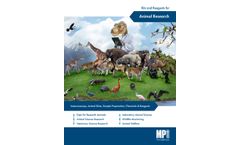 MP-Biomedicals - Model 0290541790 - 500 g Cocoa Butter - Brochure