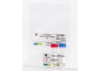 FastCellular - Model 092690301 - Senescence Detection Kit