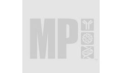 Alkyl - Model L-Leucine (Powder) - Amino Aacid