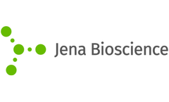 Fast qPCR ProbesMaster - Model PCR-383 - Fast Master Mix Kit