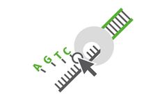 Jena - Model cAMP - Dye-Labeled Adenosines