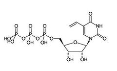 Jena - Model 5-Vinyl-UTP - Nucleotides  Vinyl Reagents