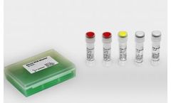 Jena - Model PCR-111S & PCR-111L - Direct PCR Master Kit