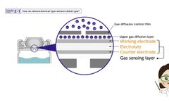 Figaro - How do Electrochemical - Type Sensors Detect Gas?