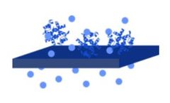 Flat Sheet Membranes for Biomolecule Recovery