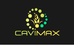 CaviMax - Services