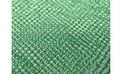 Boyuan - 3D Vegetation Net