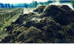 Solvita - Measure Ammonia Kit