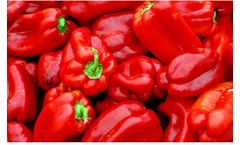 BountiGel - Granular for Bell Peppers