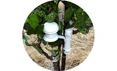 Fruition - Temperature Mapping Sensors