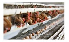 Trickling Filter Media for Ammonia and Phosphorus Runoff Industry