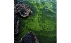 Trickling Filter Media for Nutrient Contamination