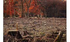 UPDATE: Fitness check of the EU Timber Regulation