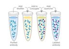 Abcam - Model ab102921 - Lightning Link Streptavidin Conjugation Kit