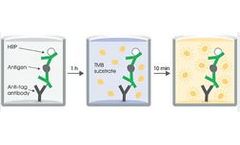 Abcam - Model ab241383 - High Sensitivity Human Fibrinogen ELISA Kit