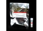 Live-or-Dye NucFix - Red Staining Kit