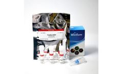 Mix-n-Stain - Enzyme Antibody Labeling Kits