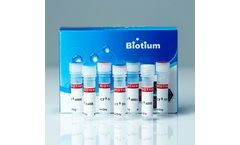 Annexin - Model V CF - Dye Conjugates, Azide-Free, Lyophilized  Kit