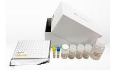 GeneTex - Model SARS-CoV-2 (COVID-19) - Nucleocapsid Protein Sandwich ELISA Kit