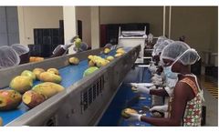 Bertuzzi InoxAll - Fruit Washing and Sorting Machine