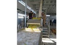 Bertuzzi InoxAll - Fruit Washing and Sorting Machine