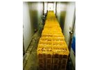 Bertuzzi InoxAll - Banana Washing and Peeling Machine