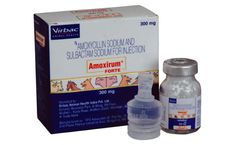 Virbac Amoxirum Forte - Amoxicillin-Sulbactam Combination Injectable Antibiotic