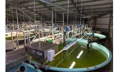 Services and Fabrication for Aquaculture & Fishing Industry