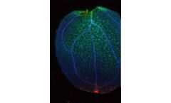 Laboratory X-Ray Solutions for Life Sciences & Environmental Science