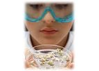 Food Safety & Quality
