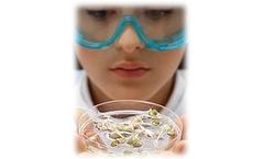 Food Safety & Quality