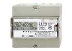 EMH - Model DIZ - G - Digital Industrial Meter