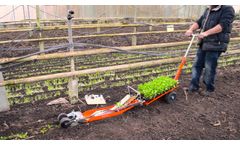 Terrateck - Spinach Paper Pot transplanteur- Video