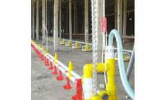 Pengfa - Poultry Automatic Drinking Line System