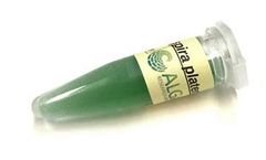 Algae - Model ACAp-01000 - Arthrospira Platensis (Spirulina)