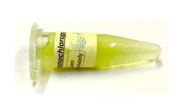 Algae - Model ACNo-00001 - Culture Nannochloropsis