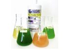Algae Isochrysis - Research Quality Algae Feed