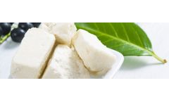 Belguard - Model Shea - Butyrospermum Parkii Butter