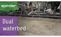 Spinder Waterbed (English)- Video