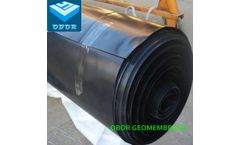 0.5mm/0.75mm/1.0mm/1.5mm/2.0mm/3.0mm ASTM Impermeable Waterproof HDPE Geomembrane for Dam/Landfill/Lake/Biogas/Mining/Fish/Shrimp Farm Pond Liner Manufacturer Price
