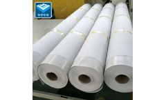 Shandong - PVC Waterproof Membrane