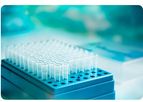 Understanding Genotyping
