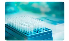 Understanding Genotyping