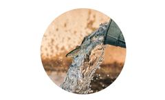 Premium-Grade Feed Products for Aquaculture