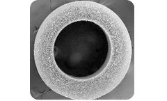 Diverse Pore Sizes: Evolution and Significance in Membrane Technology